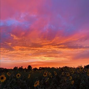 Meet your Posher, Destiny